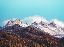 开云体育-迪巴拉破门卸下千斤担 百场C罗仍是尤文最大依靠